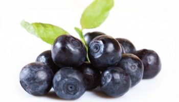 Acai_400x400