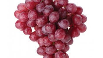 Grape_400x400