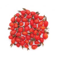 RoseHip_400x400