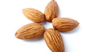 Almond_600x600