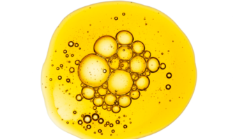 Camelina-01