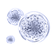 Prebiotics_600x600
