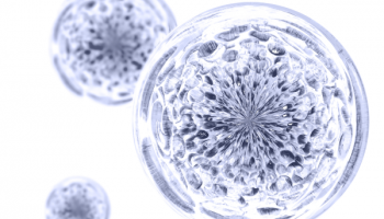 Prebiotics_600x600