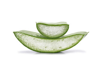 Aloe_1200x1200-01