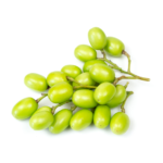 Neem-01