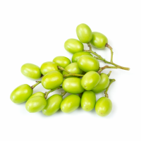 Neem-01