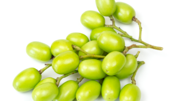 Neem-01