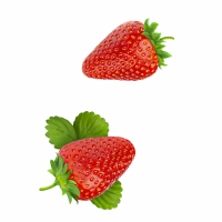 Strawberry-01